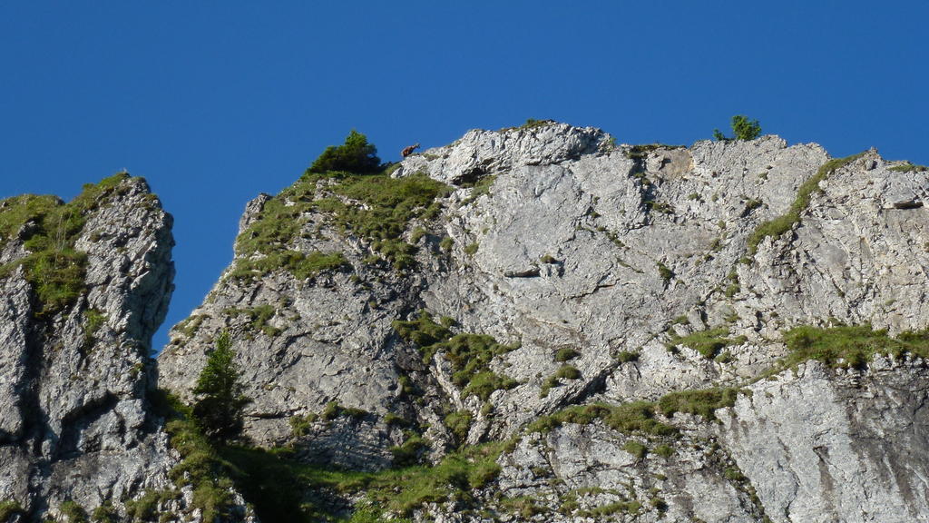 Gaestehaus Christa Otel Obermaiselstein Dış mekan fotoğraf